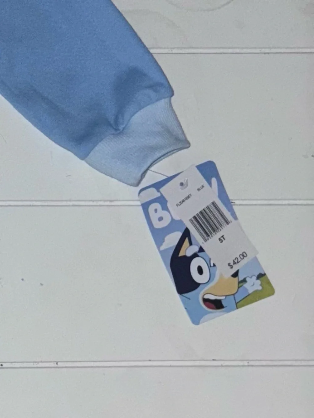 Bluey Matching Sweatshirt Hoodie & Sweat Pants Joggers Set 5T